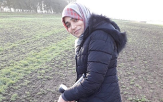 PhD student Naila Hina extracting water from a porous pot to use in modelling N leaching in the field.